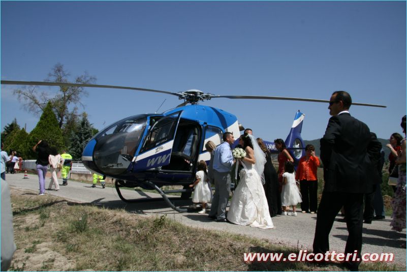elifoto (217)